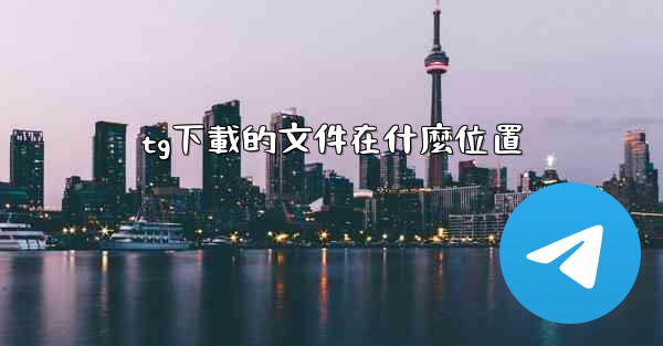 tg下載的文件在什麼位置