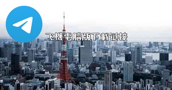 飞機電腦版下載链接