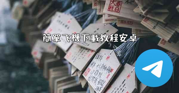 簡單飞機下載教程安卓