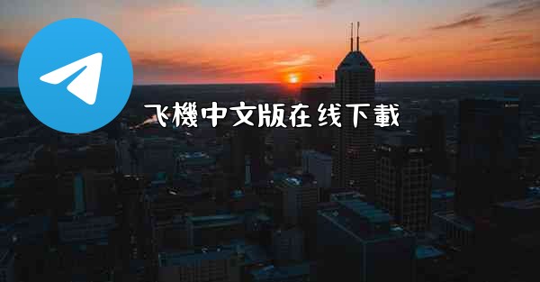 飞機中文版在线下載