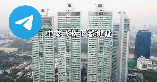 <b>中文飞機下載地址</b>