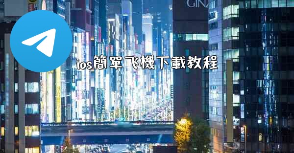 ios簡單飞機下載教程