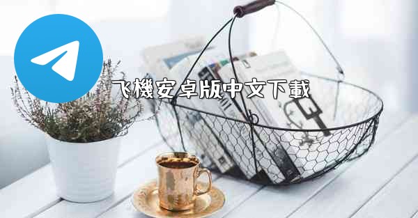 飞機安卓版中文下載