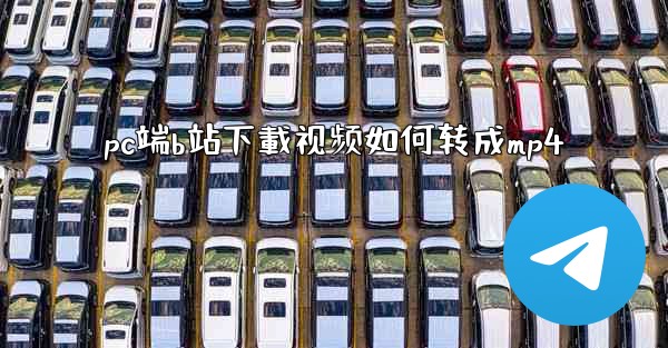 pc端b站下載视频如何转成mp4