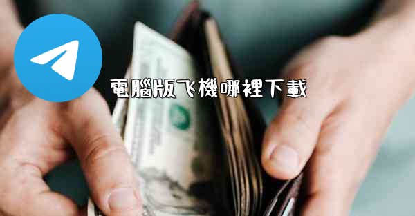 <b>電腦版飞機哪裡下載</b>