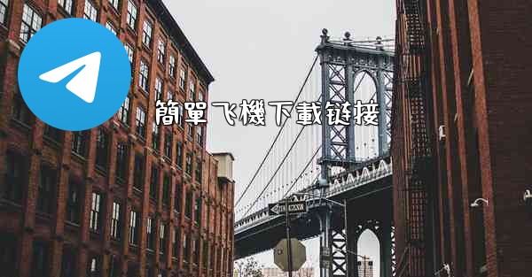 簡單飞機下載链接