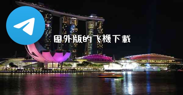 <b>國外版的飞機下載</b>