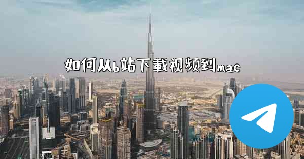<b>如何从b站下載视频到mac</b>