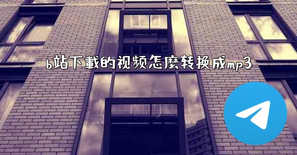 b站下載的视频怎麼转换成mp3