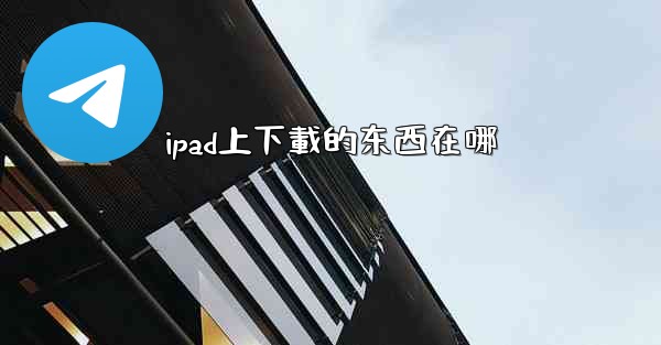 ipad上下載的东西在哪