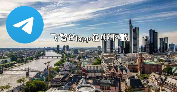 飞智的app在哪下載