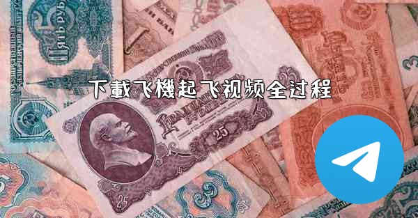 下載飞機起飞视频全过程