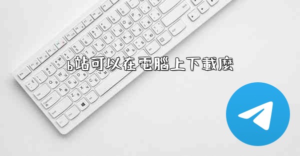 b站可以在電腦上下載麼