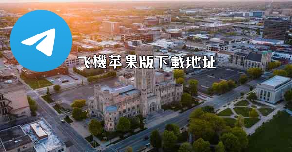 飞機苹果版下載地址