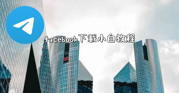 facebook下載小白教程