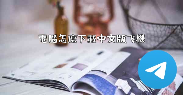 電腦怎麼下載中文版飞機