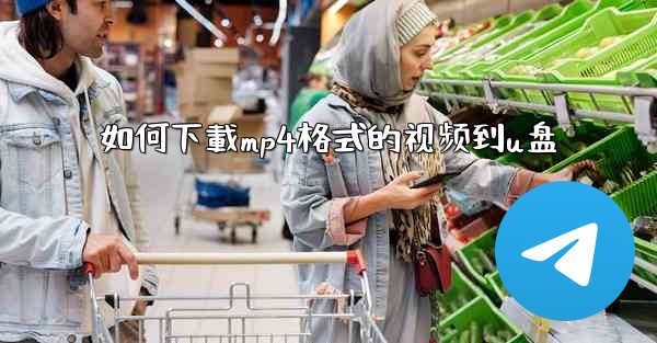 如何下載mp4格式的视频到u盘