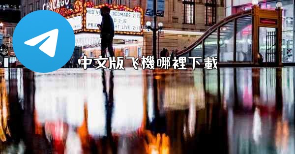 中文版飞機哪裡下載