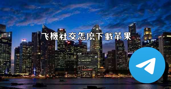 飞機社交怎麼下載苹果