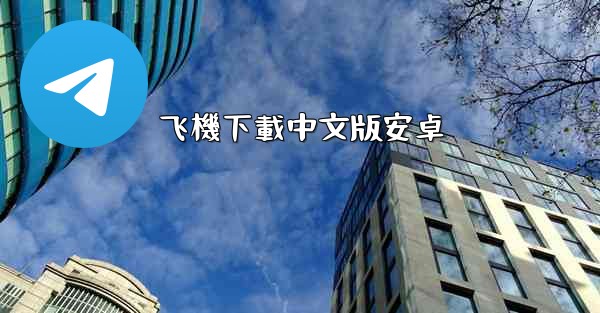 飞機下載中文版安卓