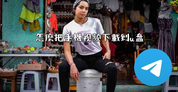 怎麼把手機视频下載到u盘