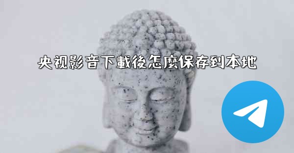 央视影音下載後怎麼保存到本地