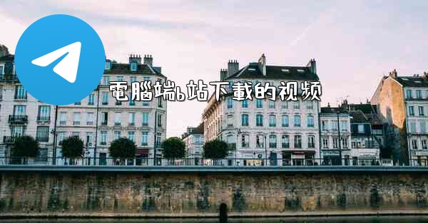 電腦端b站下載的视频