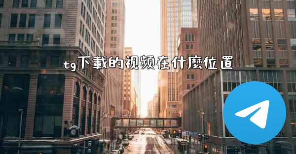 tg下載的视频在什麼位置