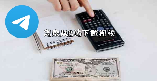 怎麼从B站下載视频