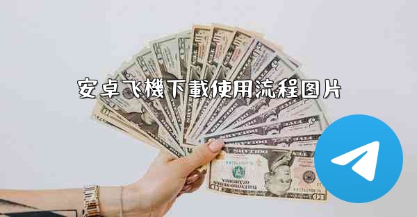 安卓飞機下載使用流程图片