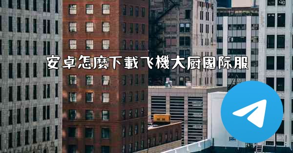 安卓怎麼下載飞機大厨國际服