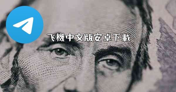 飞機中文版安卓下載