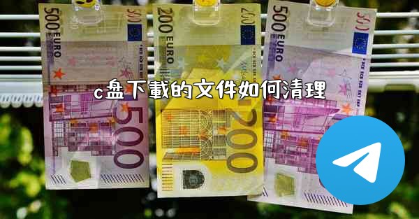 c盘下載的文件如何清理