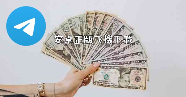 安卓正版飞機下載