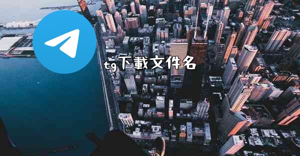 tg下載文件名