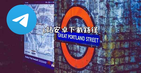 b站安卓下載路径