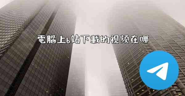 電腦上b站下載的视频在哪