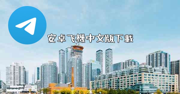 安卓飞機中文版下載