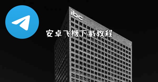 安卓飞機下載教程