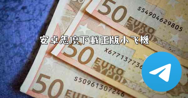 安卓怎麼下載正版小飞機