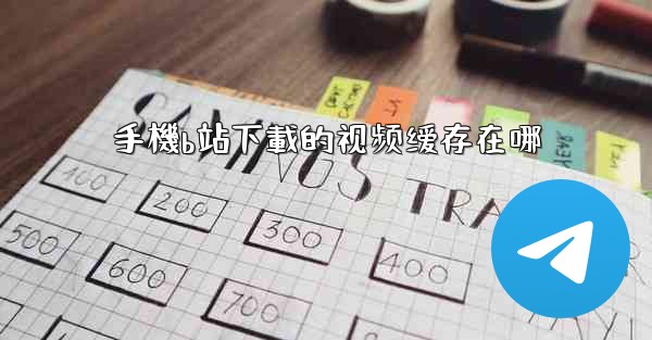 手機b站下載的视频缓存在哪