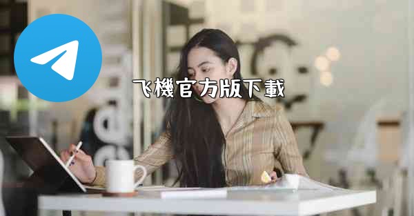 飞機官方版下載