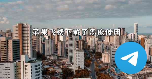 <b>苹果飞機下載了怎麼使用</b>