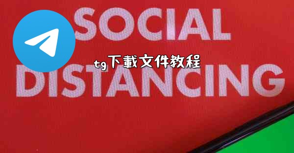 tg下載文件教程