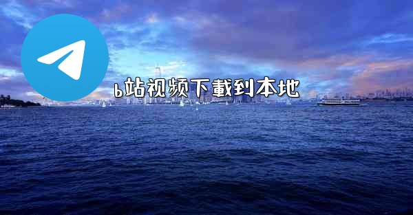 <b>b站视频下載到本地</b>