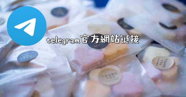 <b>telegram官方網站链接</b>
