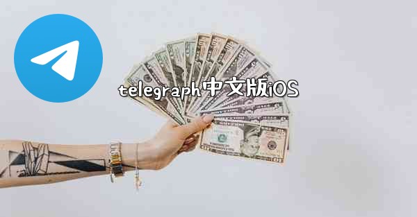 telegraph中文版iOS