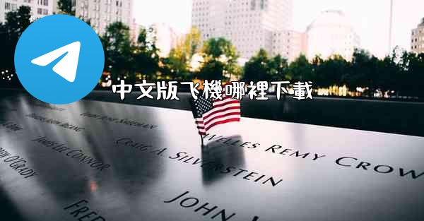 中文版飞機哪裡下載