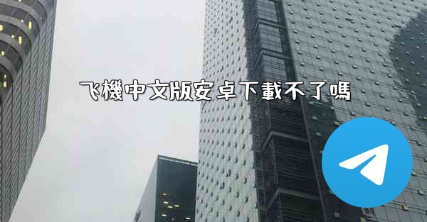 飞機中文版安卓下載不了嗎