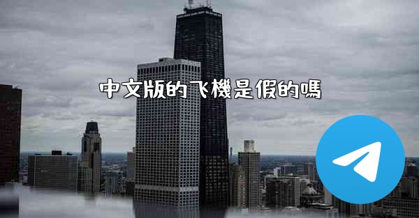 中文版的飞機是假的嗎